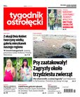 : Tygodnik Ostrołęcki - Tygodnik Ostrołęcki - 10/2023