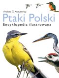 ebooki: Ptaki Polski. Encyklopedia ilustrowana - ebook