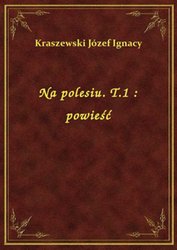 : Na polesiu. T.1 : powieść - ebook