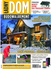 : Ładny Dom - e-wydanie – 01/2013