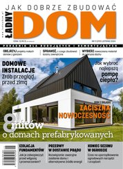 : Ładny Dom - e-wydanie – 11/2024