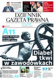 : Dziennik Gazeta Prawna - 95/2013