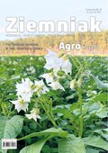 Ziemniak - hodowla, odmiany, przechowywanie, przetwórstwo - ebook