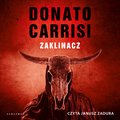 audiobooki: Zaklinacz - audiobook