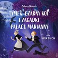 audiobooki: Tymek, Czarny Kot i zagadki Pałacu Marianny - audiobook