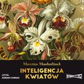 Inteligencja kwiatów  - audiobook