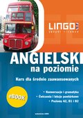 Języki i nauka języków: Angielski na poziomie - ebook