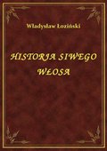 ebooki: Historja Siwego Włosa - ebook
