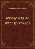 Wędrówka Po Wielko-Polsce - ebook