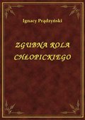ebooki: Zgubna Rola Chłopickiego - ebook