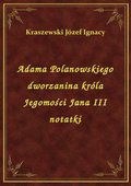 ebooki: Adama Polanowskiego dworzanina króla Jegomości Jana III notatki - ebook