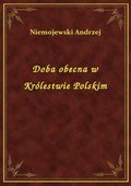 ebooki: Doba obecna w Królestwie Polskim - ebook