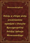 Polska w złotym wieku przedstawiona wyimkami z Dziejów Rzeczypospolitej Polskiej Jędrzeja Moraczewskiego - ebook