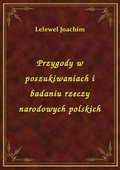 Przygody w poszukiwaniach i badaniu rzeczy narodowych polskich - ebook