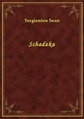Schadzka - ebook