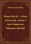 Zamek bialski : (dzieje miasteczka, obrazy z życia magnatów, Akademia Bialska) - ebook
