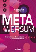 Metawersum: nowe wyzwania dla zarządzania w gospodarce cyfrowej - ebook