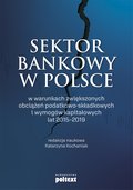 Sektor bankowy w Polsce w warunkach zwiększonych obciążeń podatkowo-składkowych i wymogów kapitałowych lat 2015-2019 - ebook