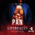 Pan Nieidealny - audiobook