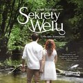 Romans i erotyka: Sekrety Welu - audiobook