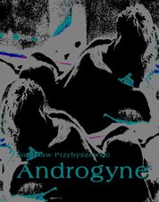 : Androgyne - ebook