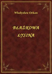 : Błażkowa Łysina - ebook