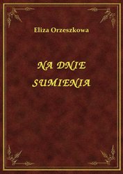 : Na Dnie Sumienia - ebook