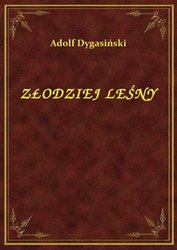 : Złodziej Leśny - ebook