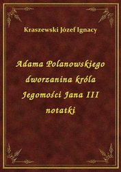 : Adama Polanowskiego dworzanina króla Jegomości Jana III notatki - ebook
