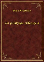 : Do polskiego chłopięcia - ebook