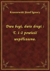 : Dwa bogi, dwie drogi : T. 1-2 powieść współczesna. - ebook