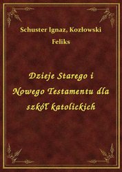 : Dzieje Starego i Nowego Testamentu dla szkół katolickich - ebook