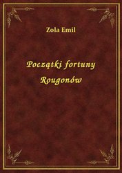 : Początki fortuny Rougonów - ebook
