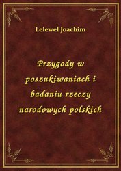 : Przygody w poszukiwaniach i badaniu rzeczy narodowych polskich - ebook