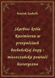 : Skarbiec króla Kazimierza w przepaściach bocheńskiej żupy : mieszczańska powieść historyczna - ebook