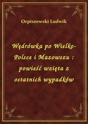 : Wędrówka po Wielko-Polsce i Mazowszu : powieść wzięta z ostatnich wypadków - ebook