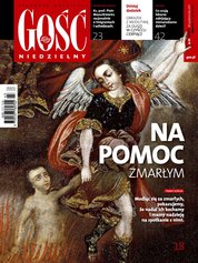 : Gość Niedzielny - Płocki - e-wydanie – 43/2017