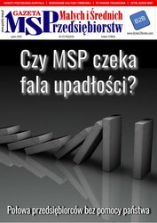 : Gazeta Małych i Średnich Przedsiębiorstw - e-wydanie – 7/2020